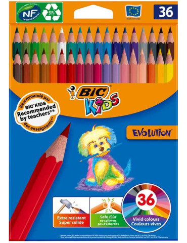 Etui 36 BIC® KIDS Evolution ECOlutions® : assortie