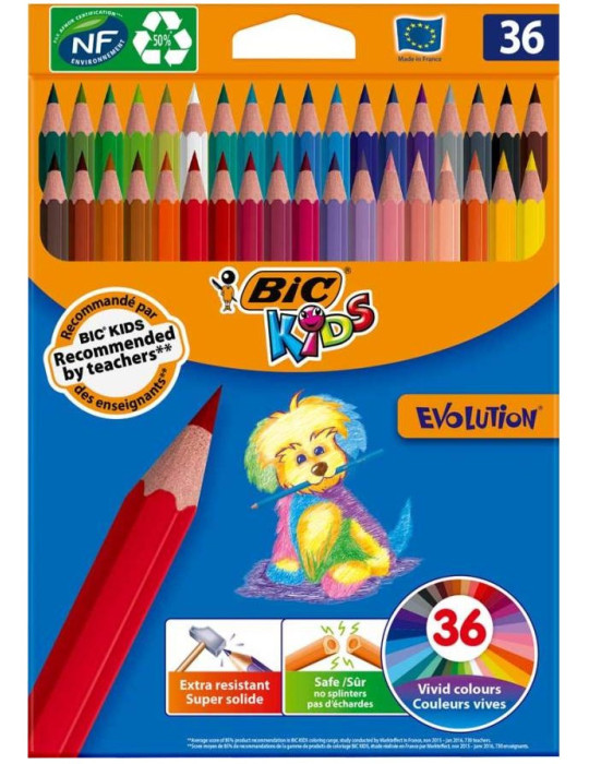Etui 36 BIC® KIDS Evolution ECOlutions® : assortie