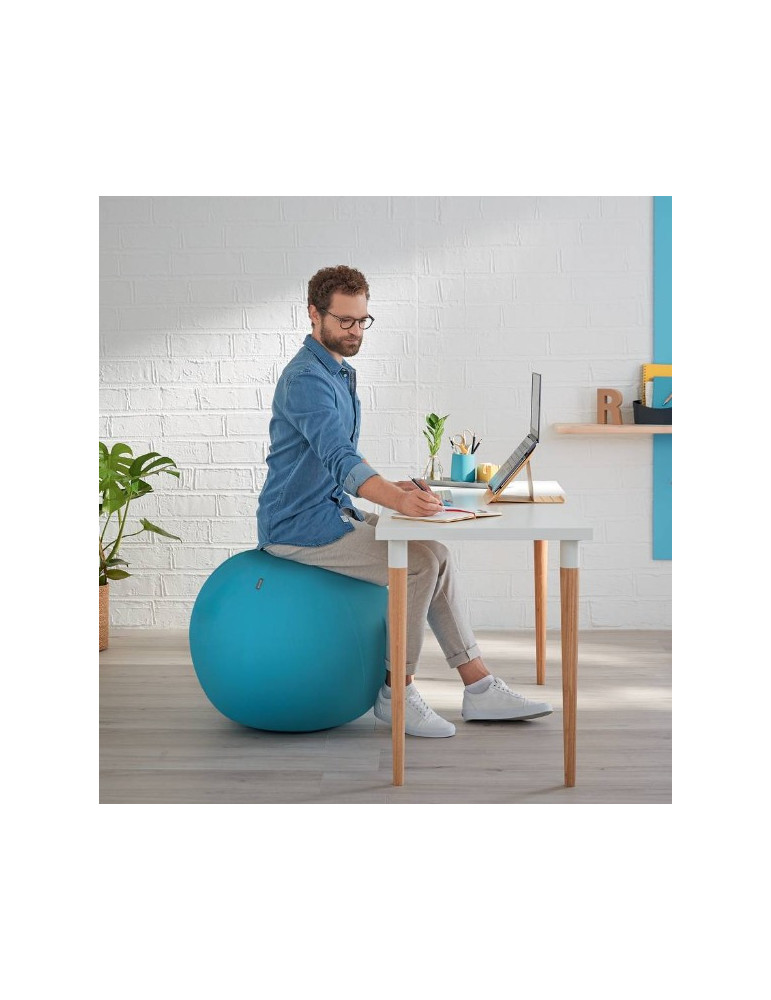 Leitz Cosy Ergo actieve zitbal sereen blauw