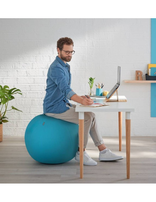 Leitz Cosy Ergo ballon d'assise active bleu calme
