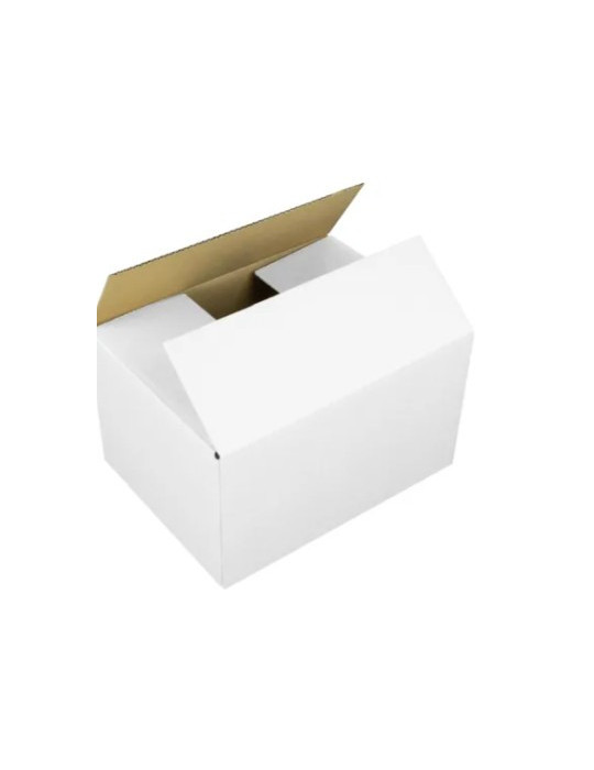 Boîte d'expédition Raadhuis 285x190x100mm EB-golf blanc