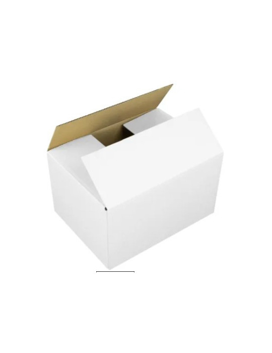 Carton déxpedition Raadhuis 386x286x186mm blanc