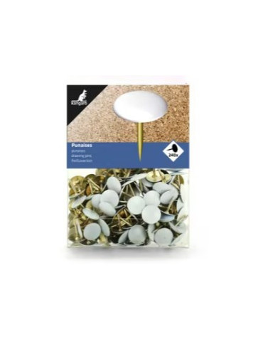 Punaises capuchon blanc Kangaro 240 pieces dans boite