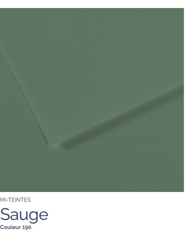 FEUILLE   MI-TEINTES®  A4 160G SAUGE 190