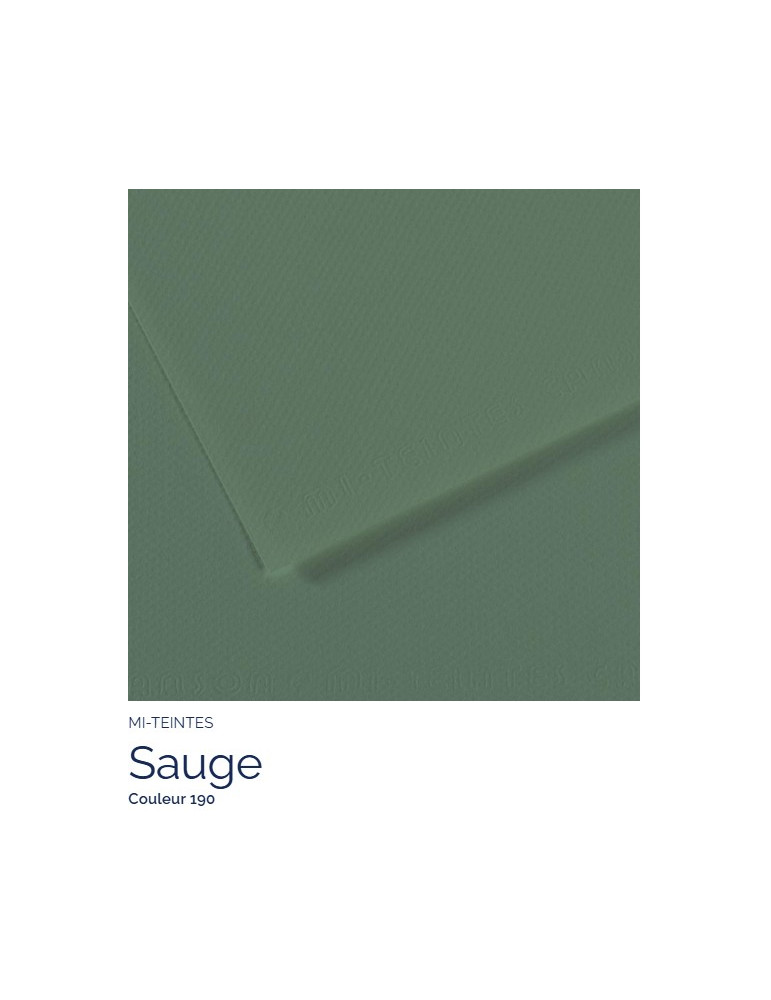 FEUILLE   MI-TEINTES®  A4 160G SAUGE 190