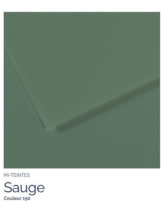 FEUILLE   MI-TEINTES®  A4 160G SAUGE 190