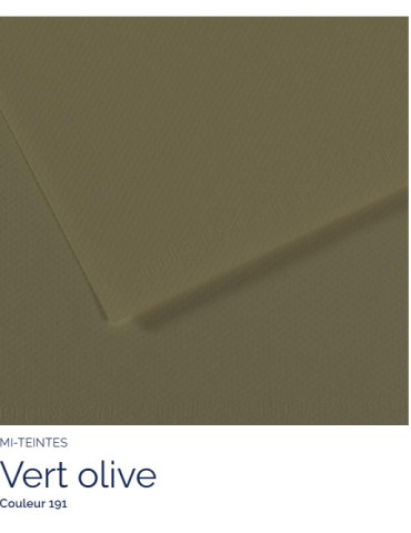 FEUILLE   MI-TEINTES®  A4 160G VERT OLIVE 191