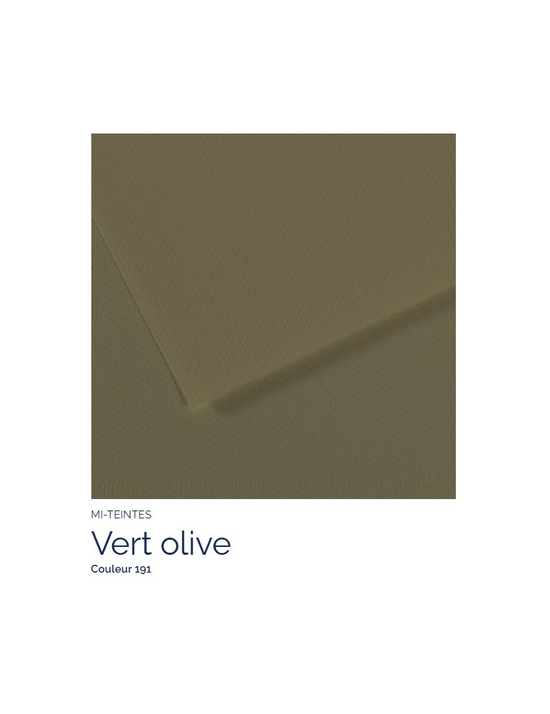 FEUILLE   MI-TEINTES®  A4 160G VERT OLIVE 191