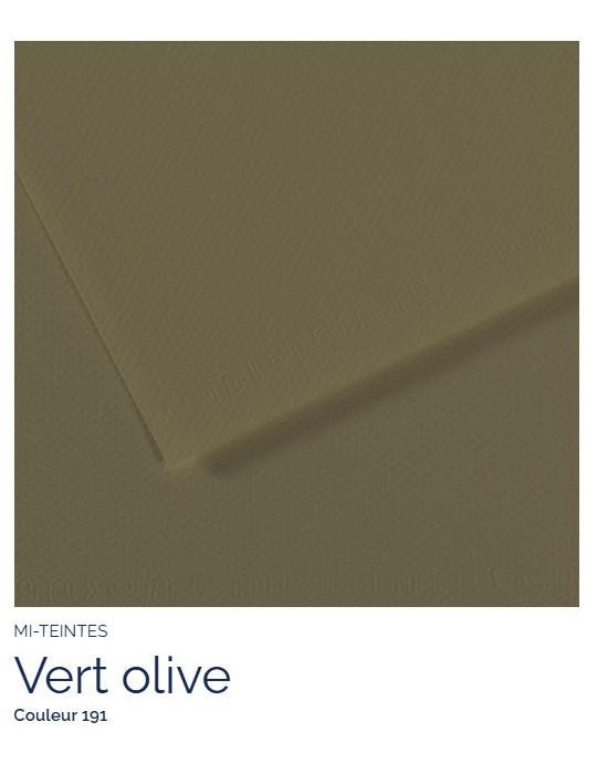 FEUILLE   MI-TEINTES®  A4 160G VERT OLIVE 191