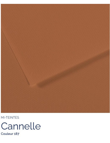 FEUILLE   MI-TEINTES®  A4 160G CANNELLE 187