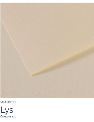 FL   MI-TEINTES®  A4 160G  lys   110