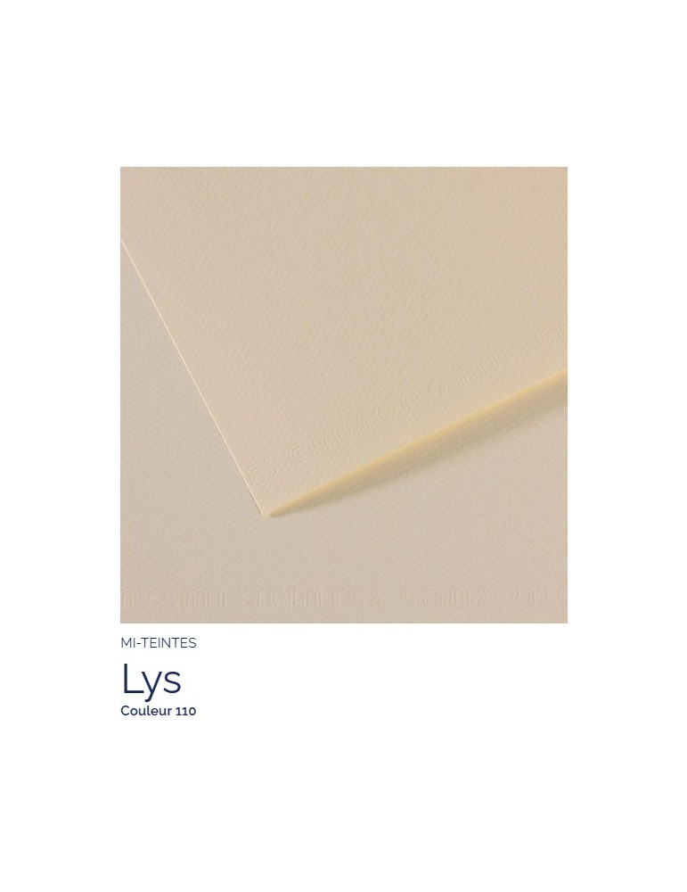 FL   MI-TEINTES®  A4 160G  lys   110