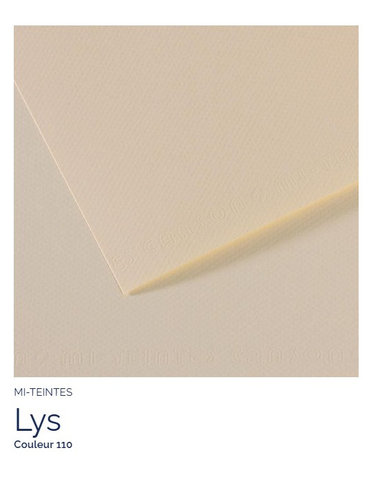 FL   MI-TEINTES®  A4 160G  lys   110