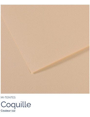 FL   MI-TEINTES®  A4 160G  COQUILLE   112