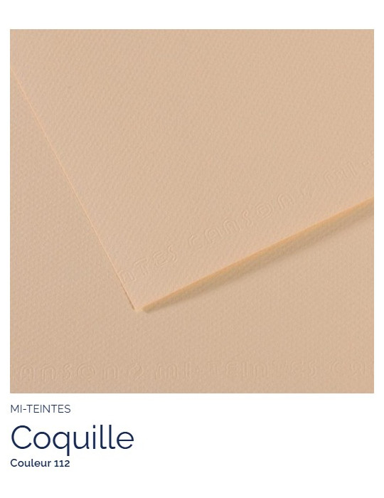 FL   MI-TEINTES®  A4 160G  COQUILLE   112