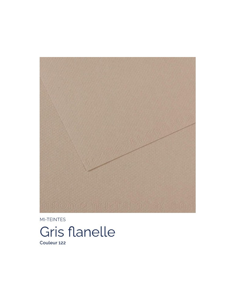 FEUILLE   MI-TEINTES®  A4 160G  GRIS FLANELLE  122