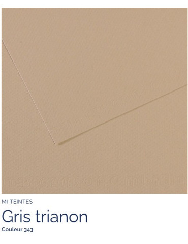 FL   MI-TEINTES®  A4 160G  GRIS TRIANON  343