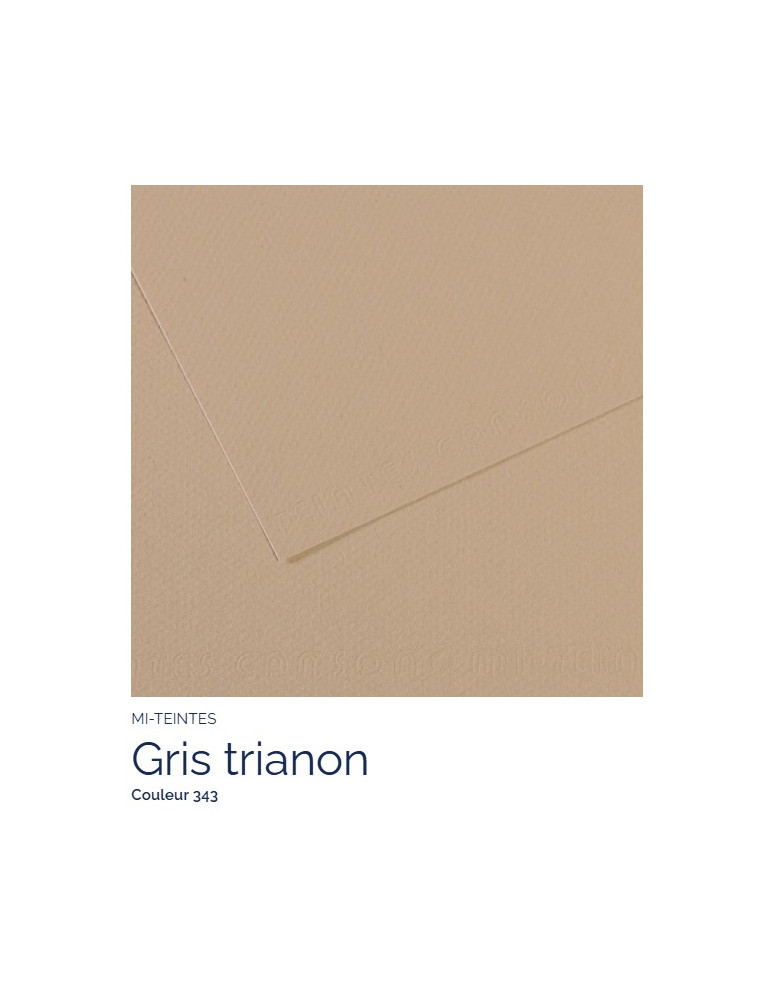 FL   MI-TEINTES®  A4 160G  GRIS TRIANON  343