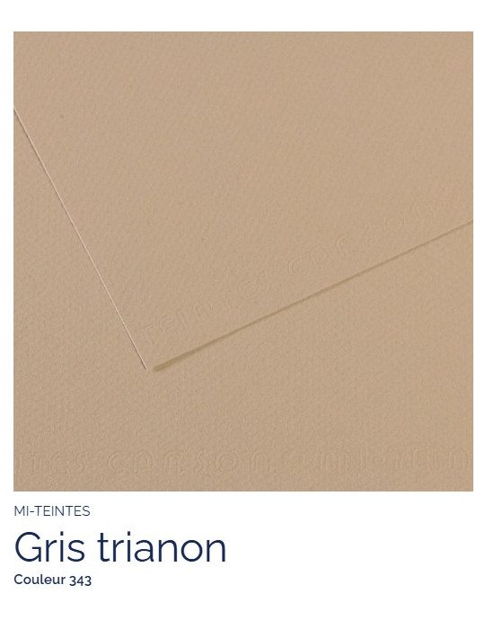FL   MI-TEINTES®  A4 160G  GRIS TRIANON  343