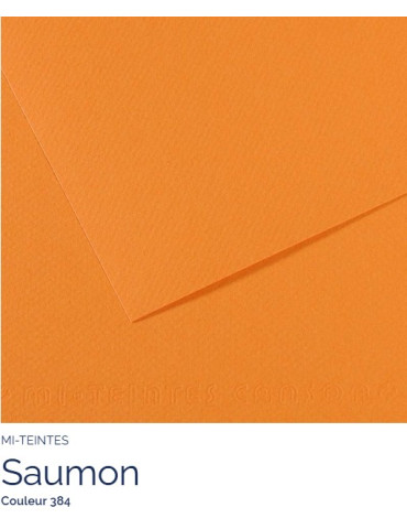 FL   MI-TEINTES®  A4 160G  SAUMON   384