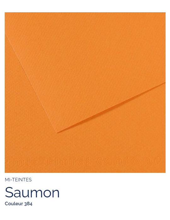 FL   MI-TEINTES®  A4 160G  SAUMON   384