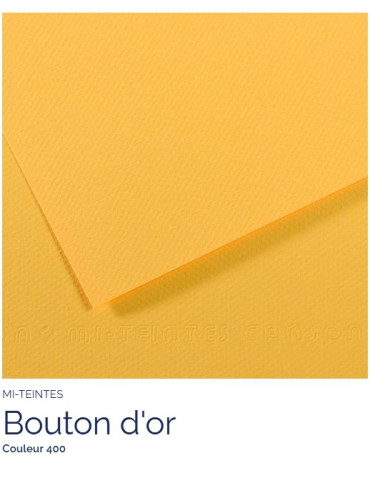 FL   MI-TEINTES®  A4 160G  BOUTON D'OR   400