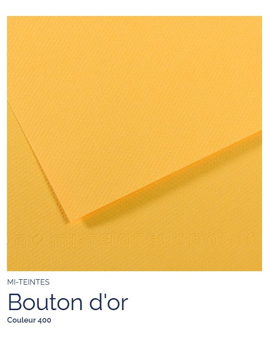 FL   MI-TEINTES®  A4 160G  BOUTON D'OR   400