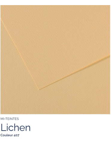 FEUILLE   MI-TEINTES®  A4 160G  LICHEN  407