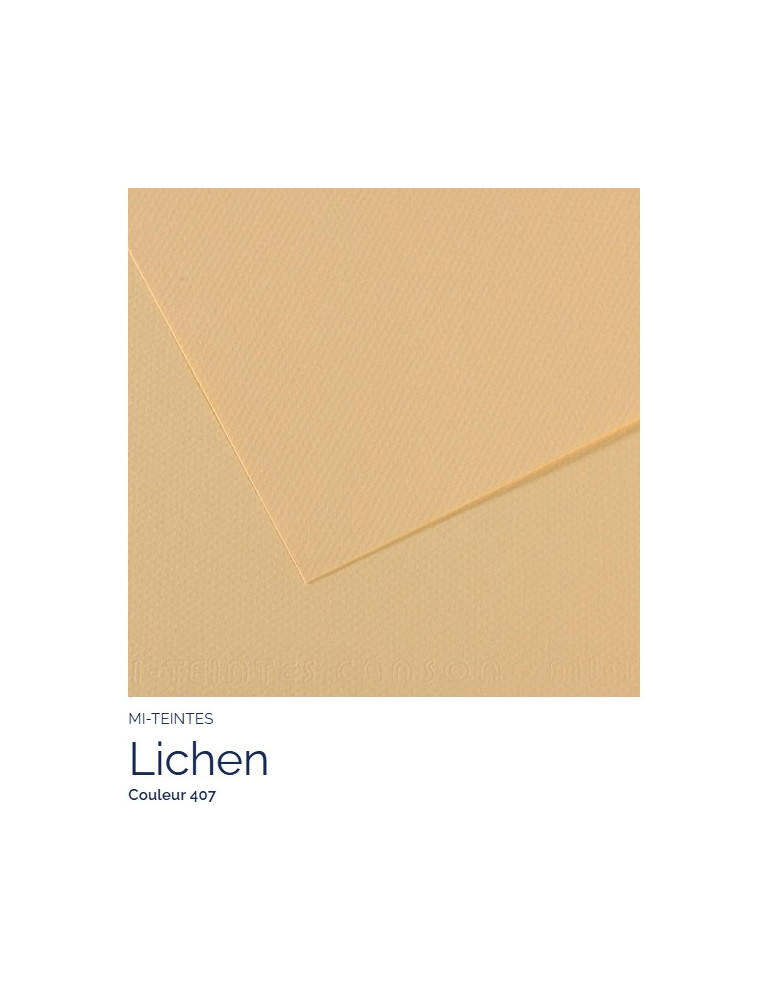 FEUILLE   MI-TEINTES®  A4 160G  LICHEN  407