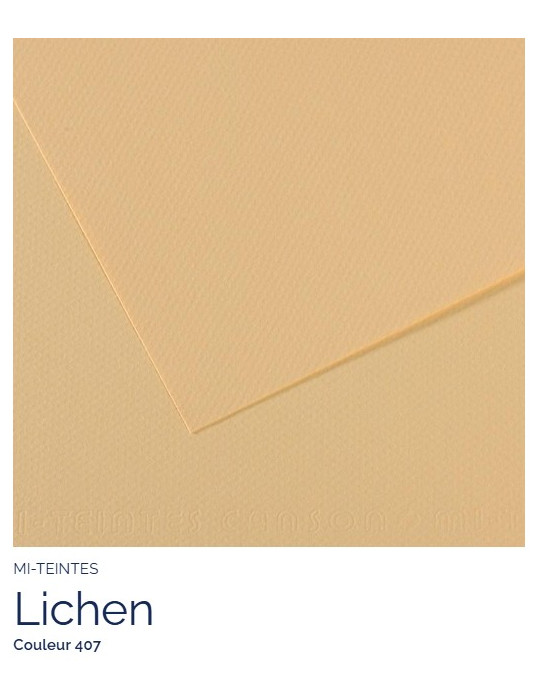 FEUILLE   MI-TEINTES®  A4 160G  LICHEN  407