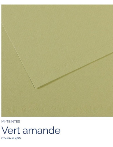 FEUILLE   MI-TEINTES®  A4 160G  VERT AMANDE  480