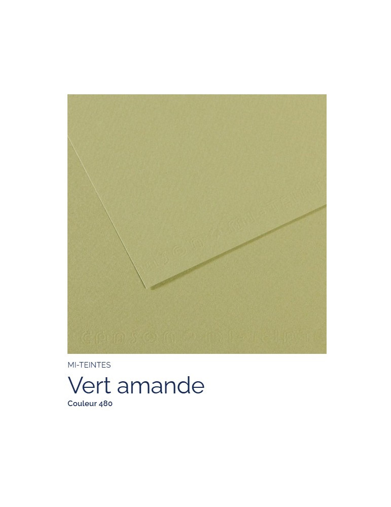 FEUILLE   MI-TEINTES®  A4 160G  VERT AMANDE  480