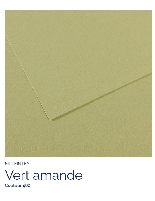 FEUILLE   MI-TEINTES®  A4 160G  VERT AMANDE  480