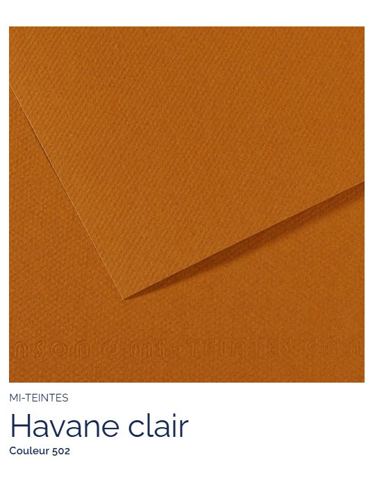 FL   MI-TEINTES®  A4 160G  HAVANE CLAIR  502