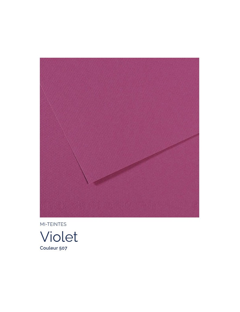 FL   MI-TEINTES®  A4 160G  VIOLET   507