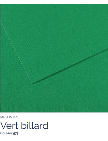 FL   MI-TEINTES®  A4 160G  VERT BILLARD  575