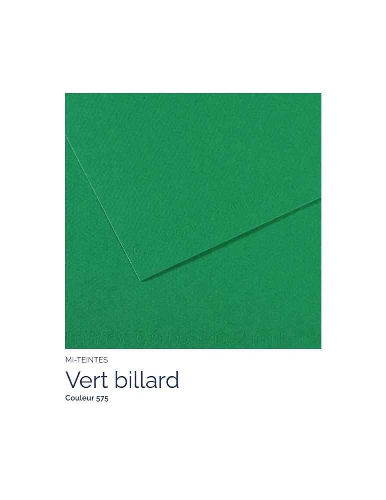 FL   MI-TEINTES®  A4 160G  VERT BILLARD  575