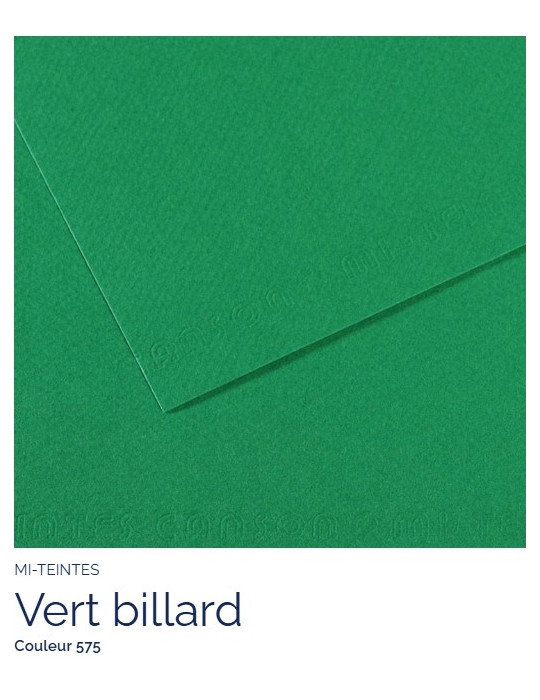 FL   MI-TEINTES®  A4 160G  VERT BILLARD  575