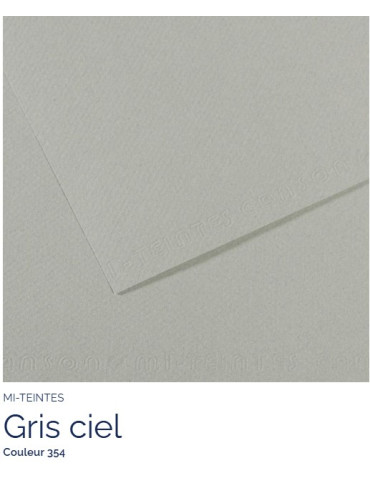 FL   MI-TEINTES®  A4 160G  GRIS CIEL  354