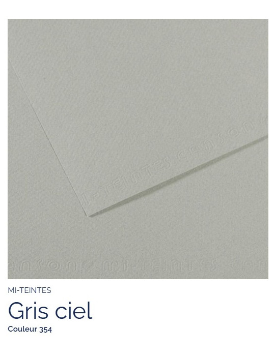 FL   MI-TEINTES®  A4 160G  GRIS CIEL  354