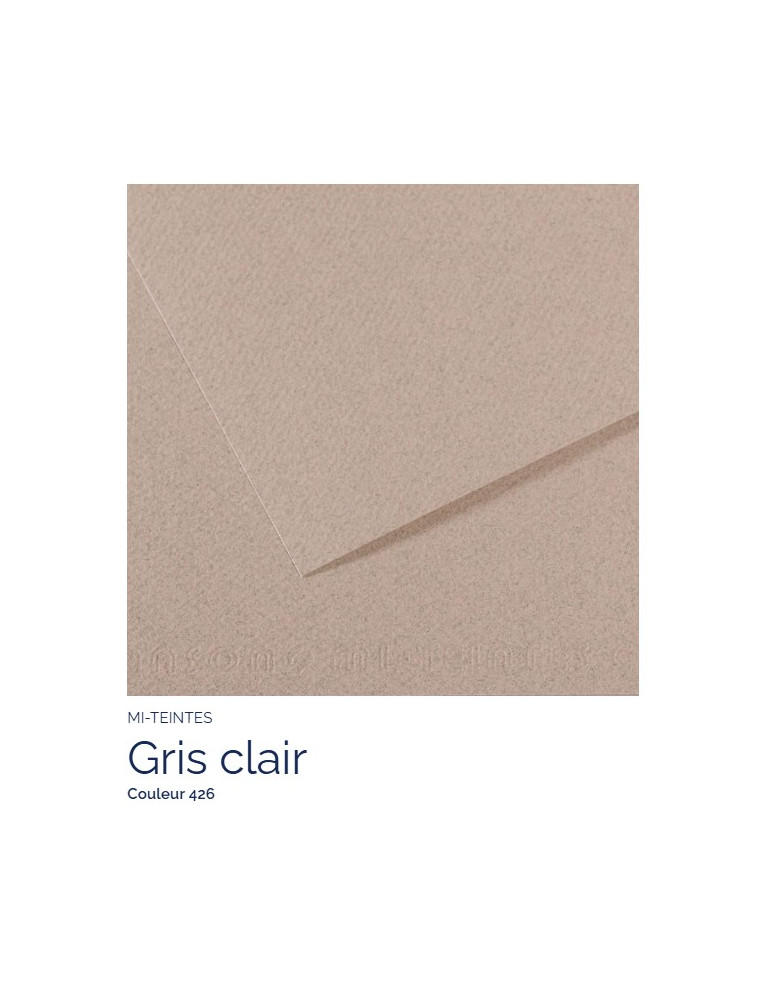 FEUILLE   MI-TEINTES®  A4 160G  GRIS CLAIR  426