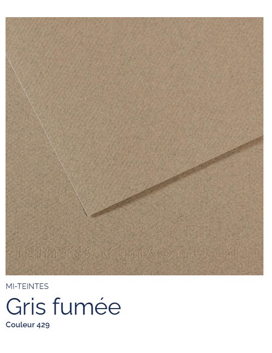 FEUILLE   MI-TEINTES®  A4 160G  GRIS FUMEE  429