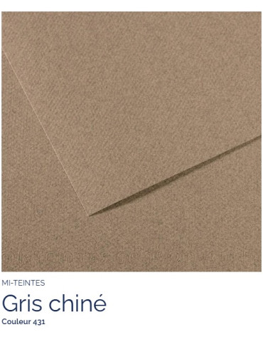 FL   MI-TEINTES®  A4 160G  GRIS CHINÉ  431