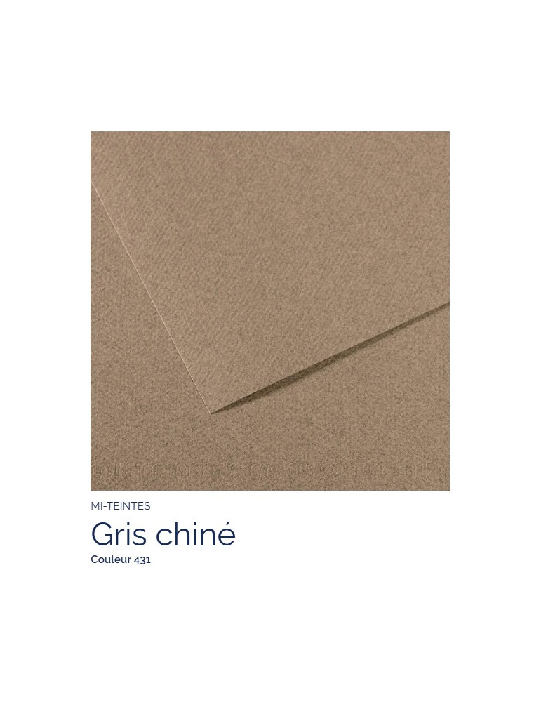 FL   MI-TEINTES®  A4 160G  GRIS CHINÉ  431