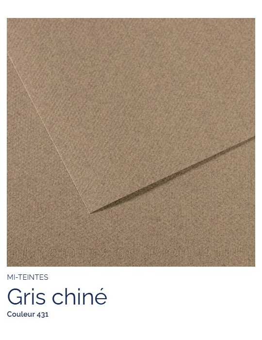 FL   MI-TEINTES®  A4 160G  GRIS CHINÉ  431