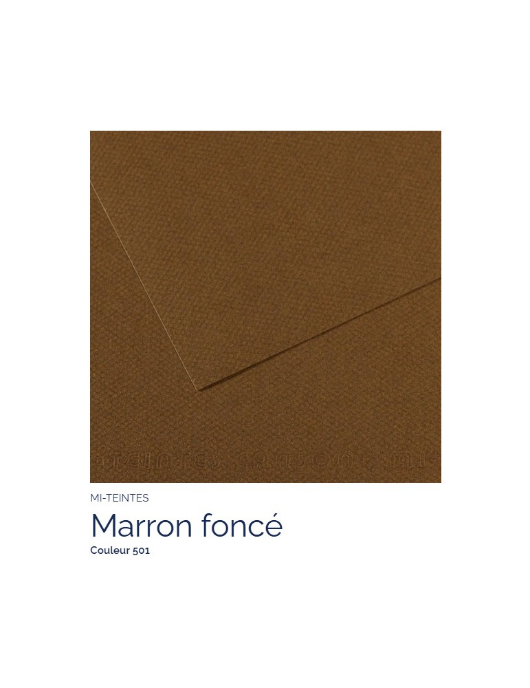 FEUILLE   MI-TEINTES®  A4 160G  MARRON FONCE  501