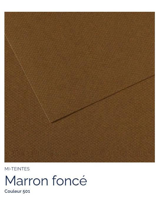 FEUILLE   MI-TEINTES®  A4 160G  MARRON FONCE  501