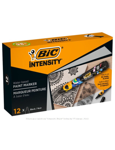 Paint marker box 12 Noir