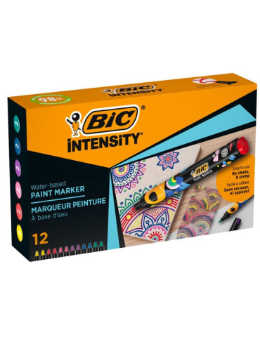 Paint marker box 12 ass