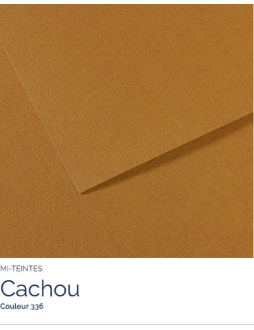 FL   MI-TEINTES®  A4 160G  CACHOU   336